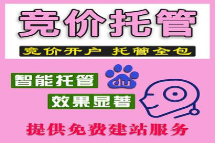 SEM推广案例：从无到有的转变